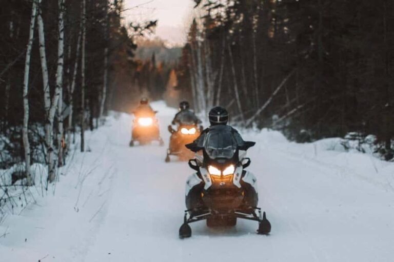 Snowmobiling Upper Laurentians 2hrs near Mont-Tremblant - Who Should Consider This Tour?