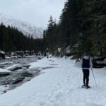 Snowshoe and Scenic Drive Tour in Glacier National Park - What You Can Expect During the Snowshoeing