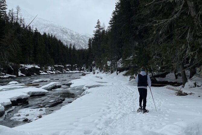 Snowshoe and Scenic Drive Tour in Glacier National Park - What You Can Expect During the Snowshoeing