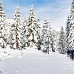 Snowshoe Through Vancouver's Winter Wonderland - The Guides and Overall Experience