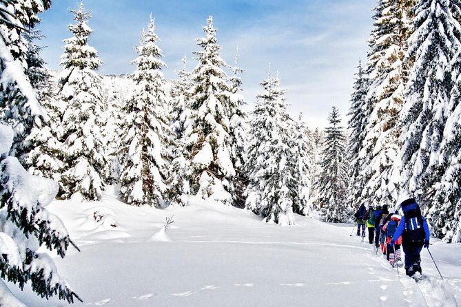 Snowshoe Through Vancouver's Winter Wonderland - The Guides and Overall Experience