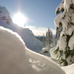 Snowshoe Tours - Authentic Reviews and What Travelers Say