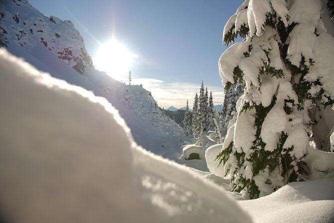 Snowshoe Tours - Authentic Reviews and What Travelers Say