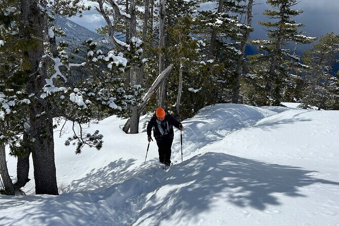 Snowshoeing at The Top of The Sea to Sky Gondola - Who Should Consider This Tour?