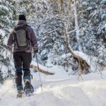 Snowshoeing Tour in Jacques-Cartier National Park - Who Will Love This Tour?