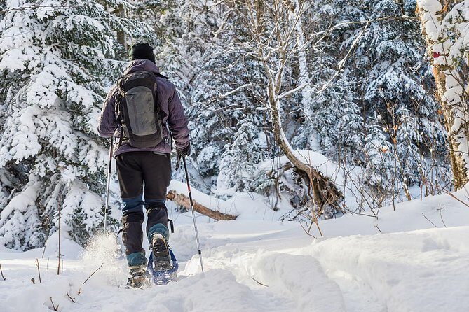 Snowshoeing Tour in Jacques-Cartier National Park - Who Will Love This Tour?