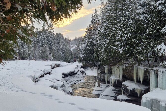 Snowshoeing with mountain goats Private activity - The Culinary Highlight: Quebec-Style Fire Cooking