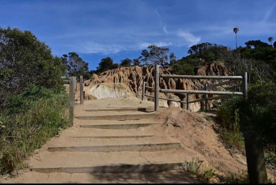 Solana Beach: Guided Hiking/Bike Tour to Annies Canyon - An Authentic Look at the Tour Experience