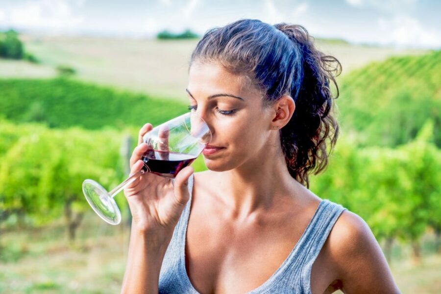 Sonoma County: Tasting Pass (Choose 1, 2, or 90 Days) - Who Will Love This Experience?