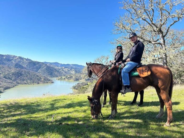 Sonoma County: Wine Country Horseback Riding Adventure - Why This Tour Works Well