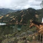 Sonoma: Horseback Riding Tour to Skaggs Vista Mountain - Who Will Love This Tour?