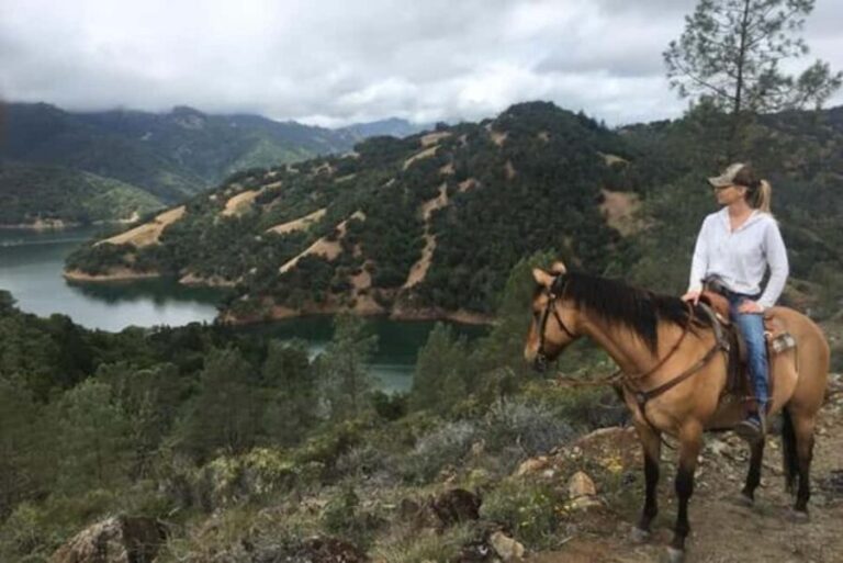 Sonoma: Horseback Riding Tour to Skaggs Vista Mountain - Who Will Love This Tour?