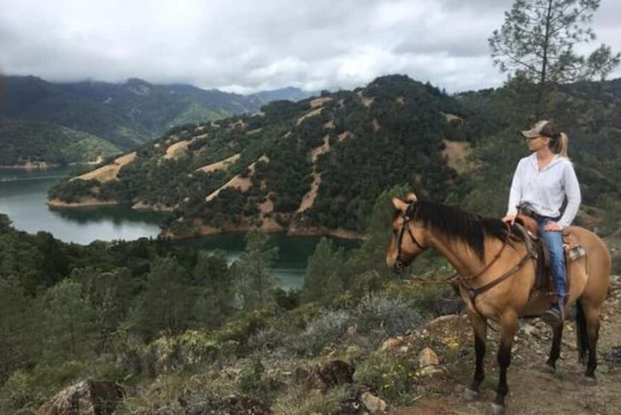 Sonoma: Horseback Riding Tour to Skaggs Vista Mountain - Who Will Love This Tour?