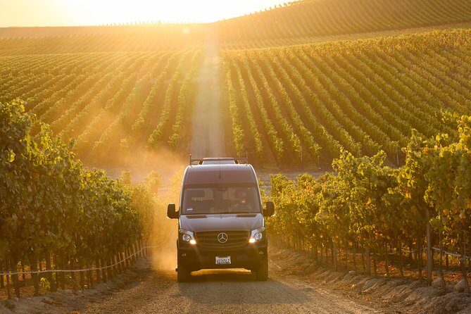 Sonoma Wine Tour - Private Access to Small Wineries - Who Will Love This Tour?