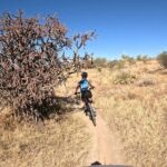 Sonoran Desert Guided Mountain Bike Adventure - Why This Tour Provides Real Value