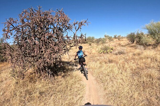 Sonoran Desert Guided Mountain Bike Adventure - Why This Tour Provides Real Value