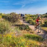 Sonoran Desert Guided Mountain Bike Tour - The Itinerary: What to Expect