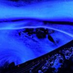 Sounds of the Ocean: The Immersive Experience - Tulsa - Who Will Love This?