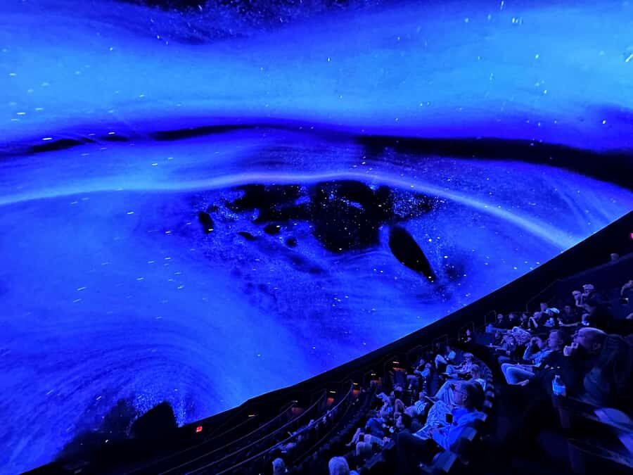 Sounds of the Ocean: The Immersive Experience - Tulsa - Who Will Love This?