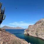 South Carmen and Danzante Island Adventure - What Past Participants Say