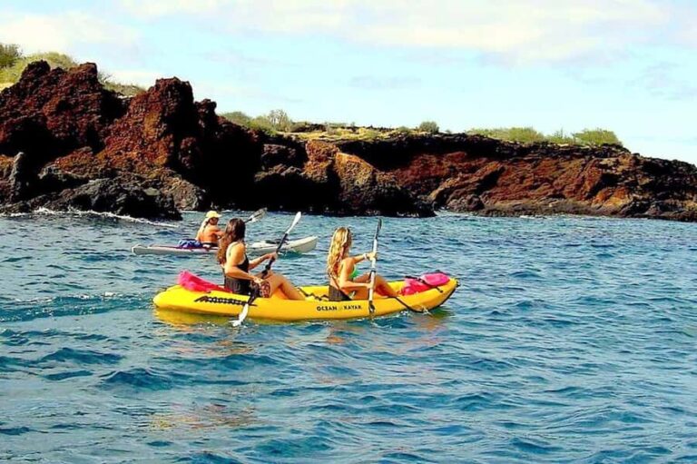 South Maui: Waterfall Tour w/ Kayak, Snorkel, and Hike - The Practical Side: What to Expect