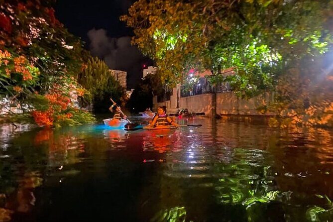 South Miami Beach Night Clear Kayaking Glow Tour - A Deep Dive Into the Experience
