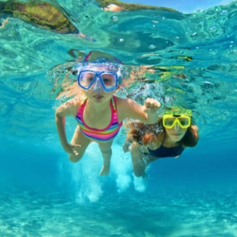 South Padre Island: North Bay Snorkeling Tour - Who Should Consider This Tour?