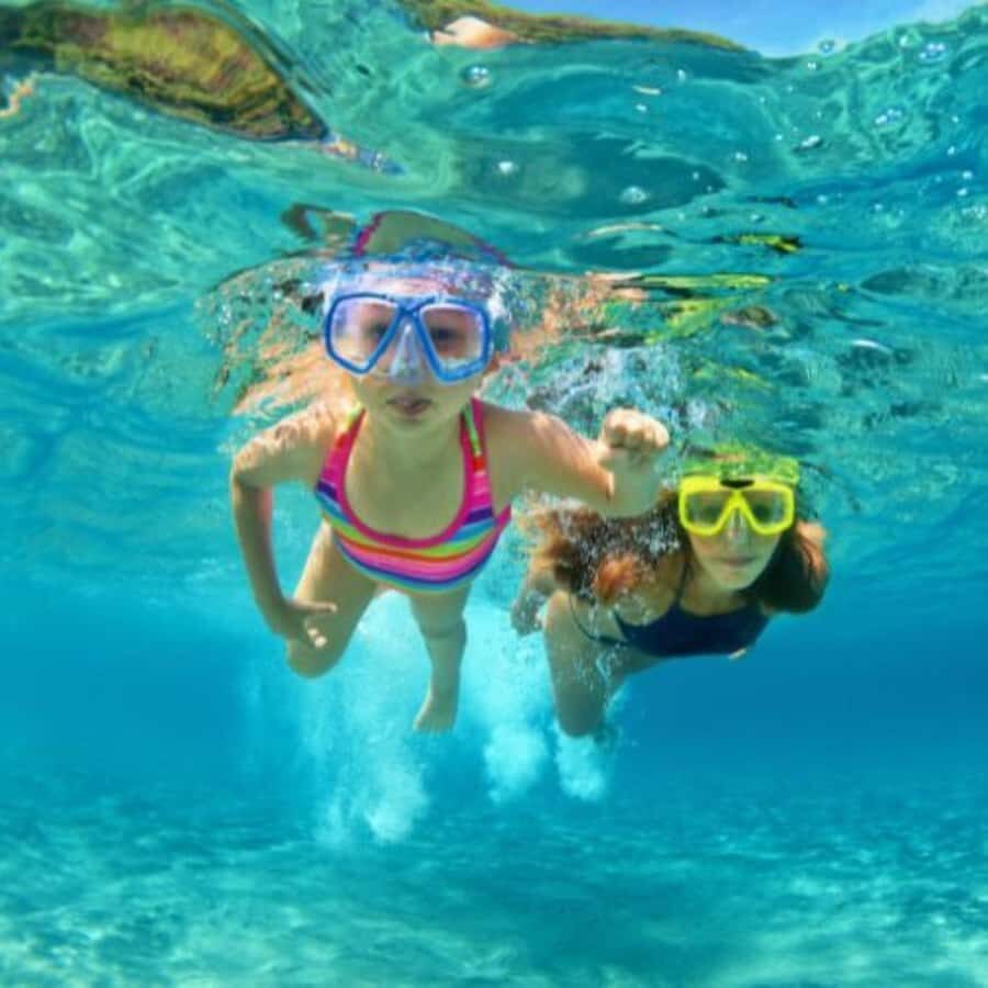 South Padre Island: North Bay Snorkeling Tour - Who Should Consider This Tour?