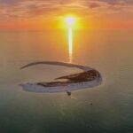 South Pasadena: Island Sunset Cruise and Skyway Light Show - The Wildlife and Shelling Experience