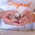 Spanish Cooking Class With Paella in Sacramento (4-Course Menu) - The Menu: A Full Spanish Feast