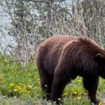 Special Magic Hour Photography Tour - FAQs