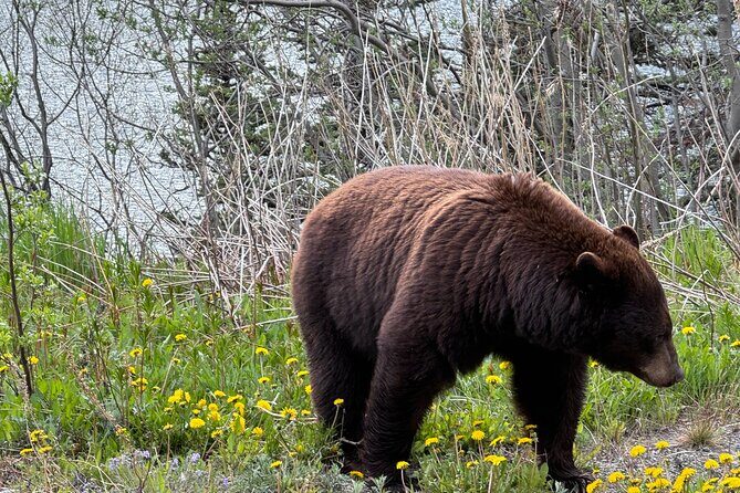 Special Magic Hour Photography Tour - FAQs