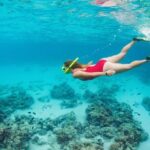 Speed Boat Tour for 2 - A Journey across Lagoon and Mangroves - Authentic Experiences and Real Traveler Insights