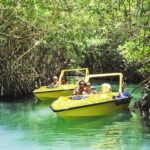 Speedboat and Snorkeling Adventure in Cancun - The Speedboat Ride: Feel the Breeze