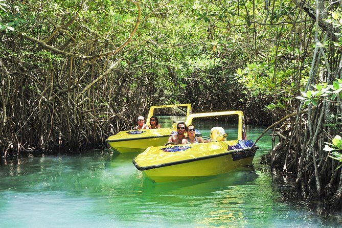 Speedboat jungle tour and snorkel - The Experience in Detail