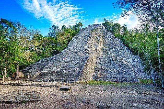 Spider Monkey, Coba and Cenote - Cultural and Archaeological Discovery at Coba