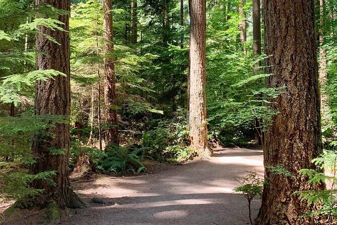 Spirit Of Vancouver Bike or Ebike Tour - Conclusions: Who Will Love This Tour?