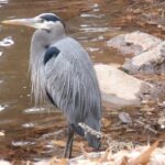 Spiritual Tours Vortex Tours - Final Thoughts on the Sedona Vortex Tour