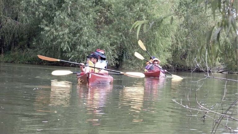 Spooky Swamp | Evening Paddle on Lake Charlotte(Sunset Tour) - Itinerary Breakdown: What to Expect