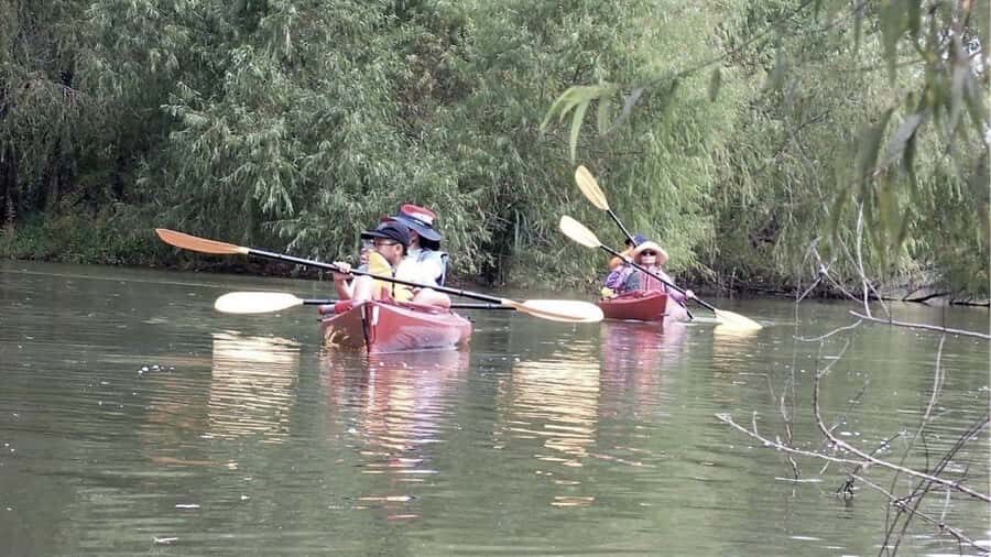 Spooky Swamp | Evening Paddle on Lake Charlotte(Sunset Tour) - Itinerary Breakdown: What to Expect