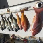 sport fishing - Who is This Tour Best Suited For?