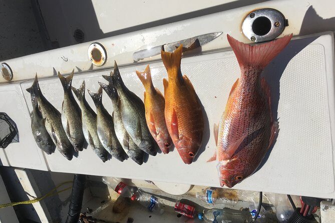 sport fishing - Who is This Tour Best Suited For?