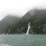 Spring Bear and Waterfall Tour - Food and Comfort