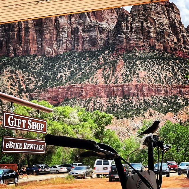 Springdale: Guided eBike Tour in Zion National Park - Who should consider this tour?