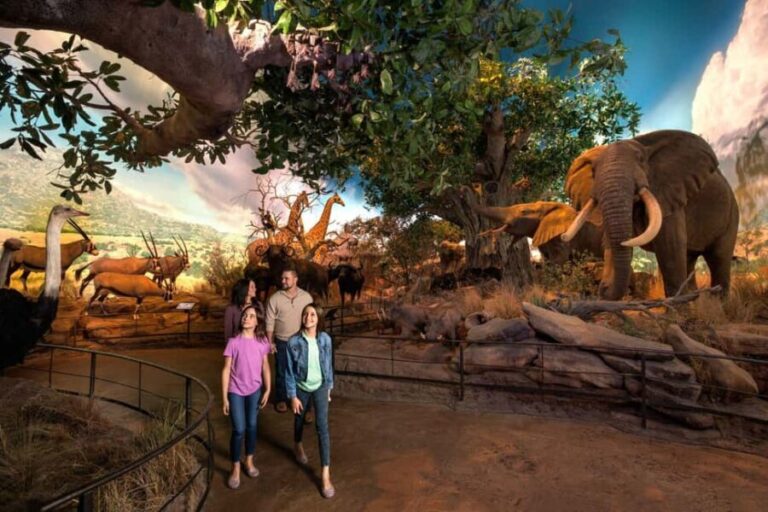 Springfield: Wonders of Wildlife National Museum & Aquarium - Who Will Love This Experience?