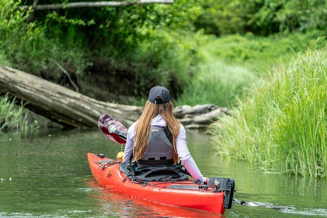 Squamish Full Day Expedition Kayak Rental - The Value of a Guided, Self-Directed Kayaking Day
