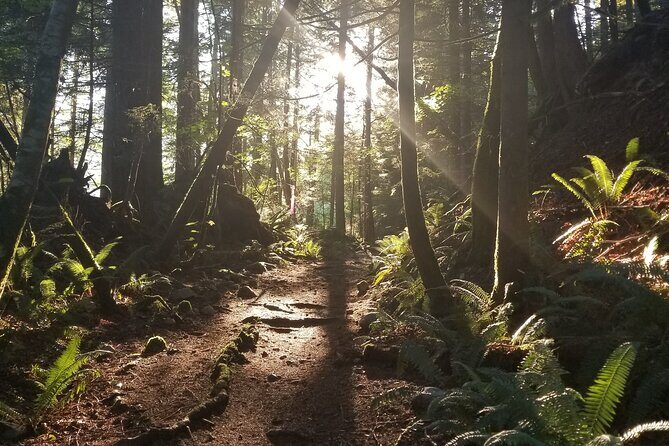 Squamish Trail Running Adventure - Who Will Love This Tour?