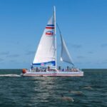 St. Augustine: Dolphin Watching Harbor Tour with Drinks - The Itinerary: A Closer Look