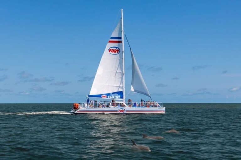 St. Augustine: Dolphin Watching Harbor Tour with Drinks - The Itinerary: A Closer Look
