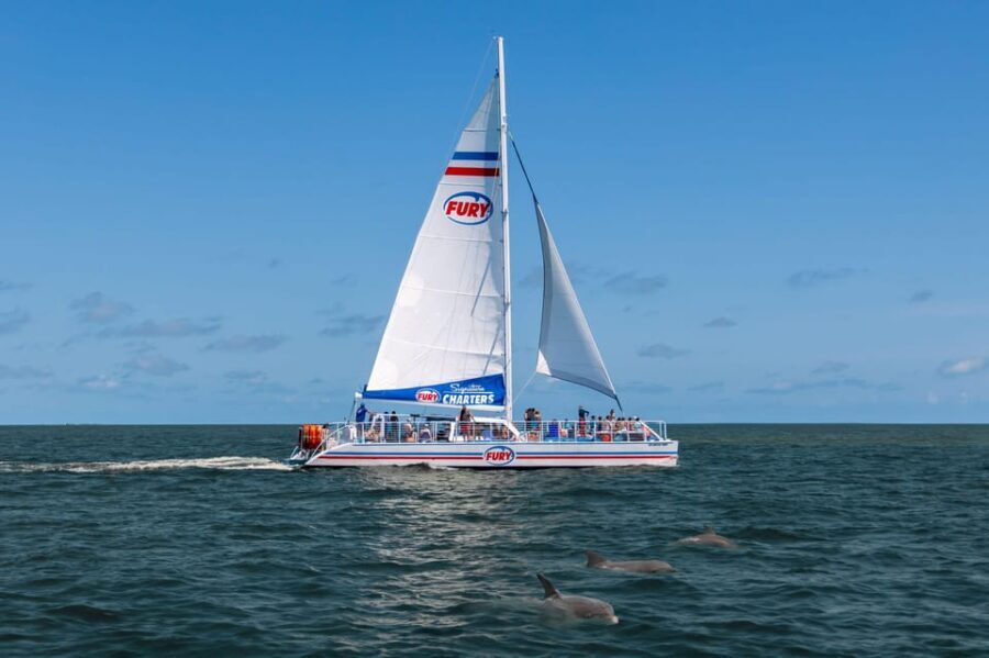 St. Augustine: Dolphin Watching Harbor Tour with Drinks - The Itinerary: A Closer Look